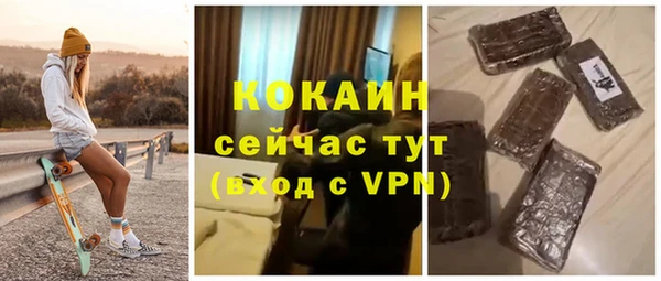 гашик Карпинск