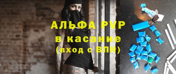 гашик Карпинск