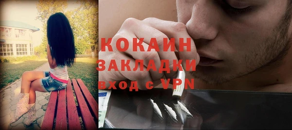 гашик Карпинск