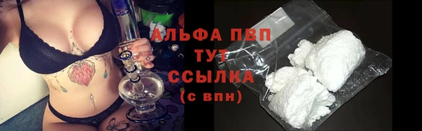 гашик Карпинск