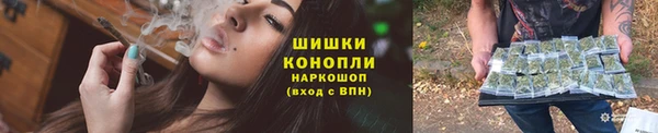гашик Карпинск