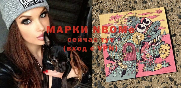 гашик Карпинск