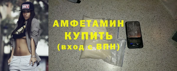 гашик Карпинск
