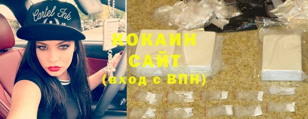 гашик Карпинск